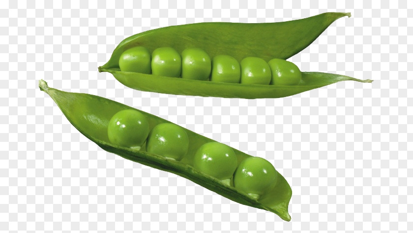 Green Peas With Pods Split Pea Silique Common Bean Clip Art PNG