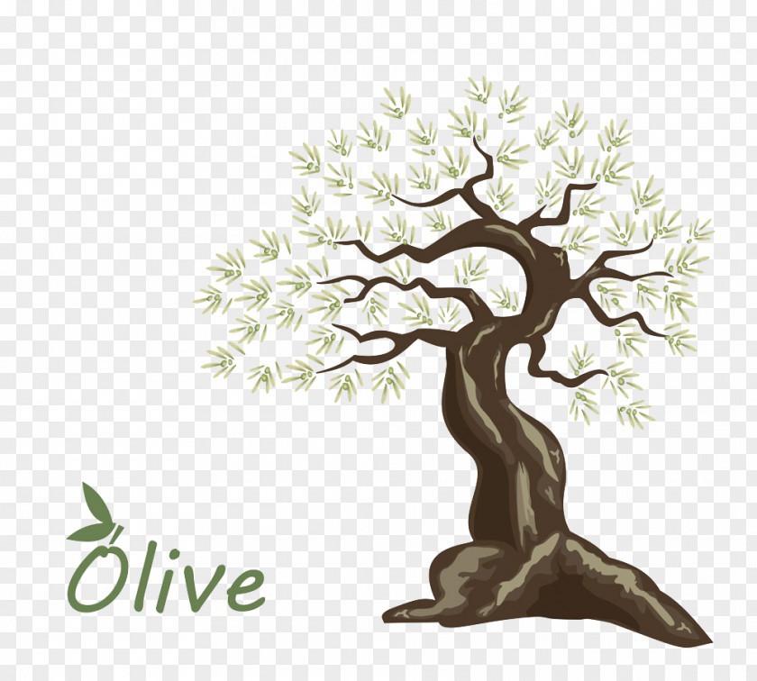 Hand-painted Olive Oil Tree PNG