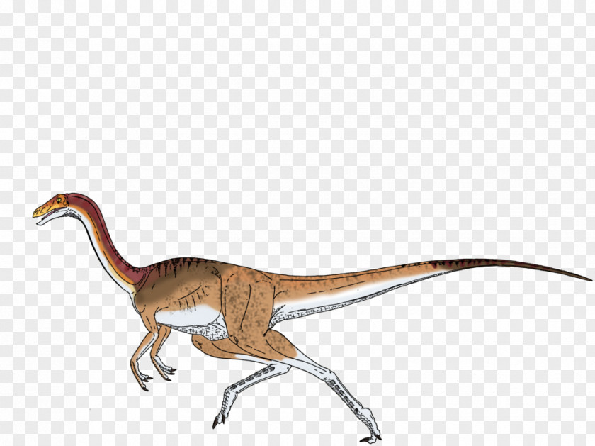 Jurassic Park ARK: Survival Evolved Gallimimus Velociraptor Tyrannosaurus Dilophosaurus PNG