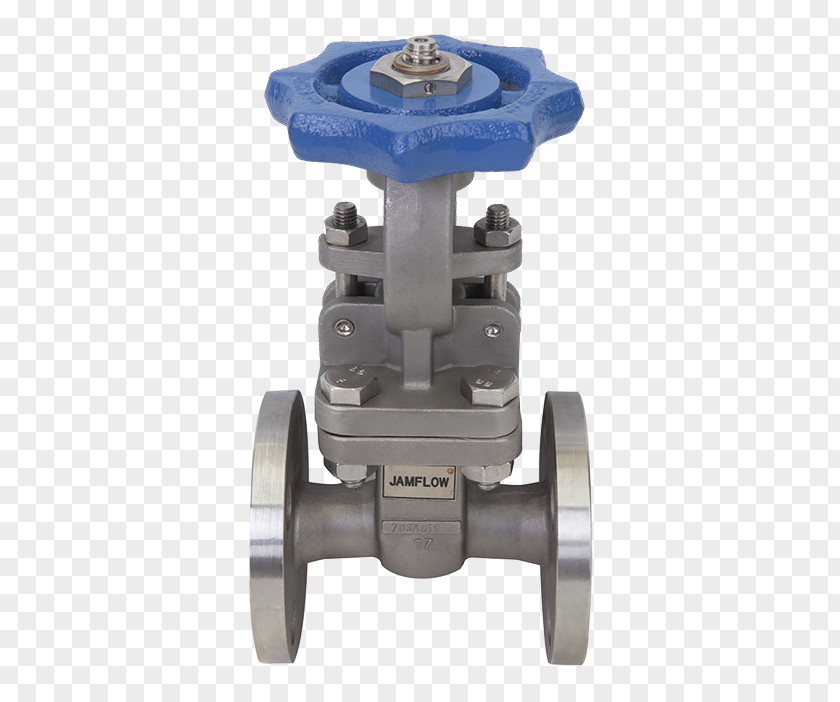 Stainless Steel Flange Gate Valve PNG