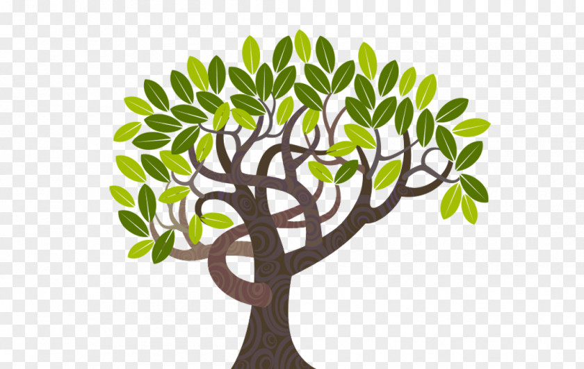 Tree Curve Illustration PNG