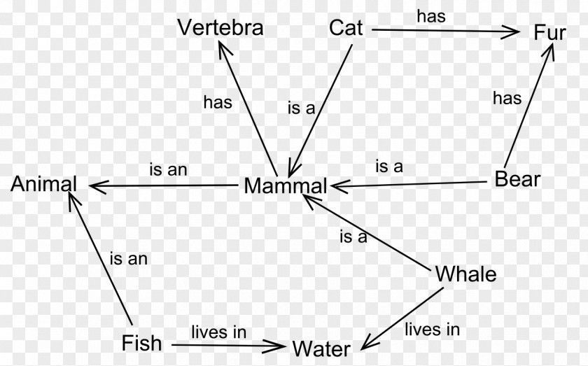 Word Semantic Network Lexical Semantics Web Knowledge Representation And Reasoning PNG