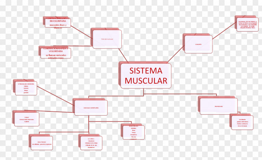 Design Brand Organization Pattern PNG