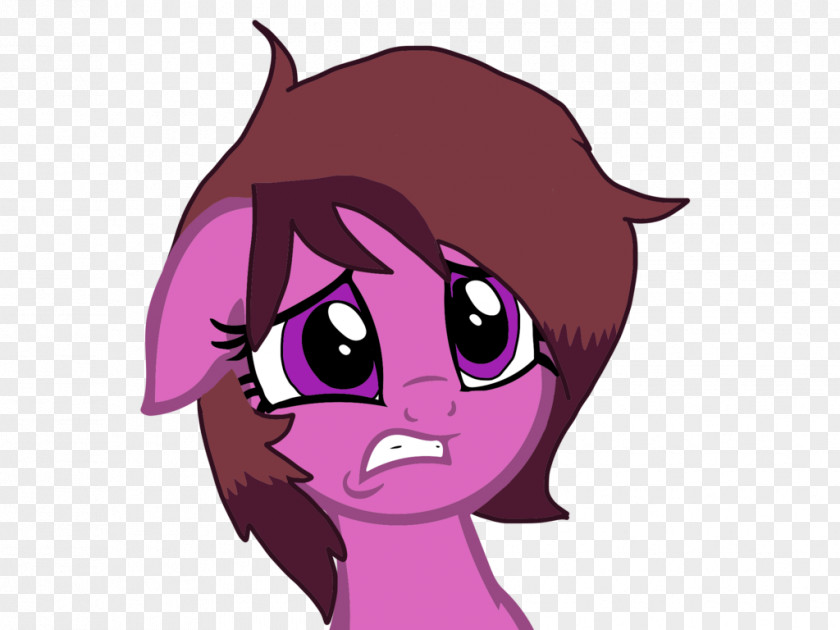 Eye Pony Horse Cat PNG