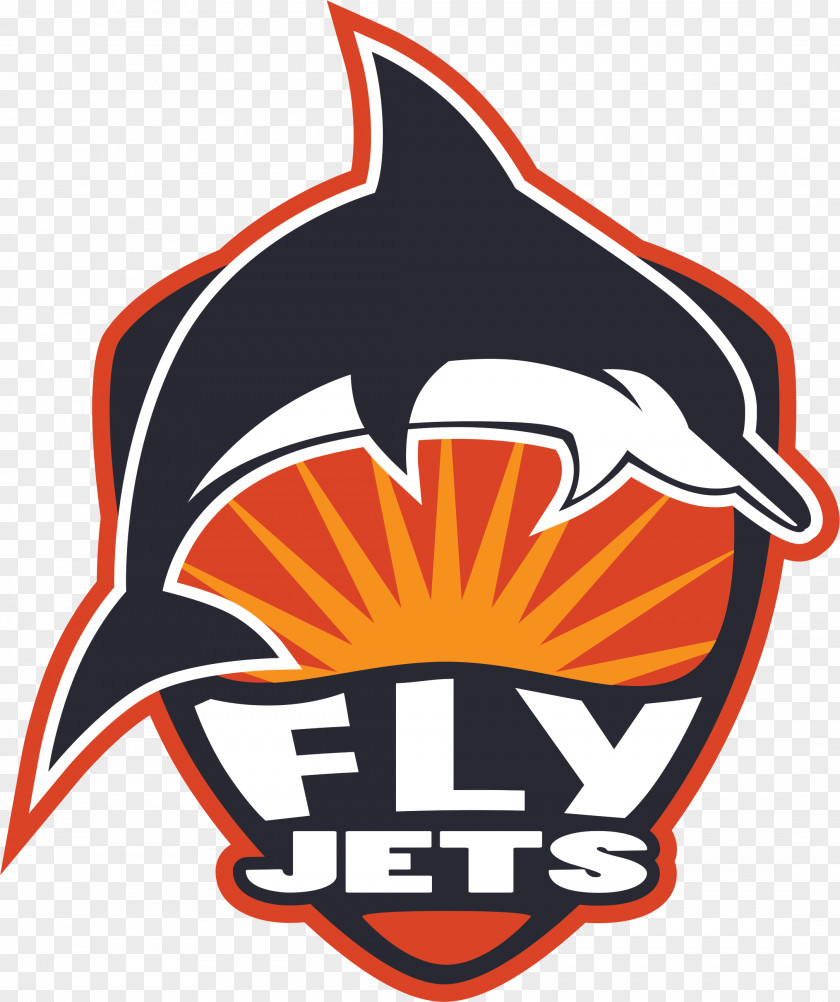 FlyJets Flyboard Flight Hoverboard Retail PNG