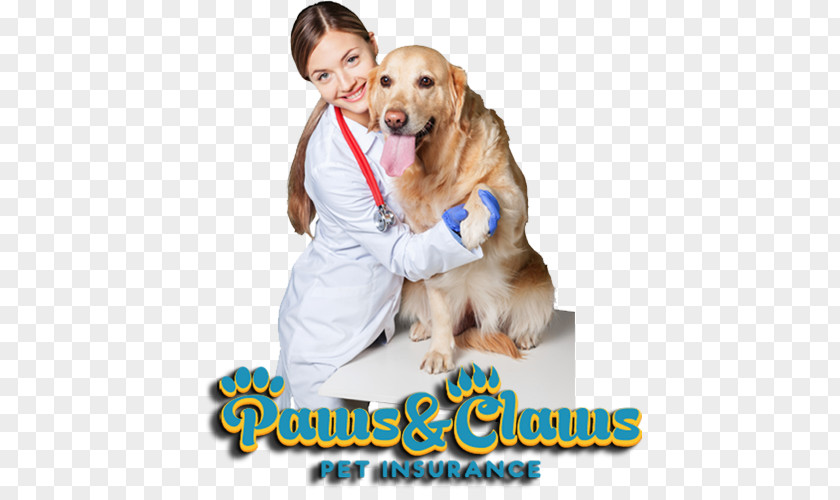 Golden Retriever Cat Dog Breed Veterinarian Puppy PNG