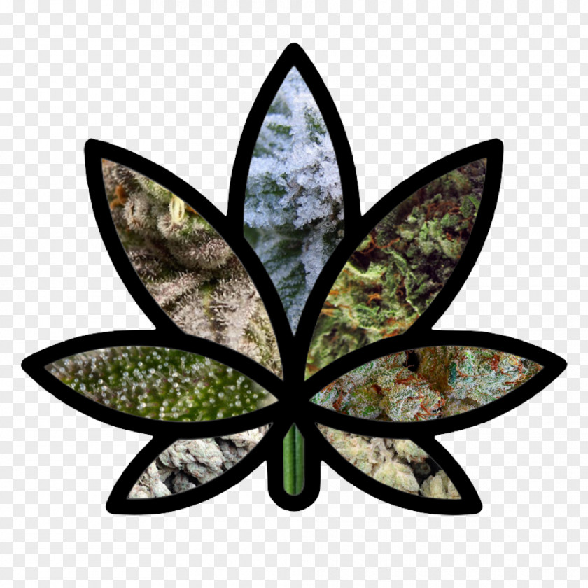 Hash Leaf Symmetry PNG