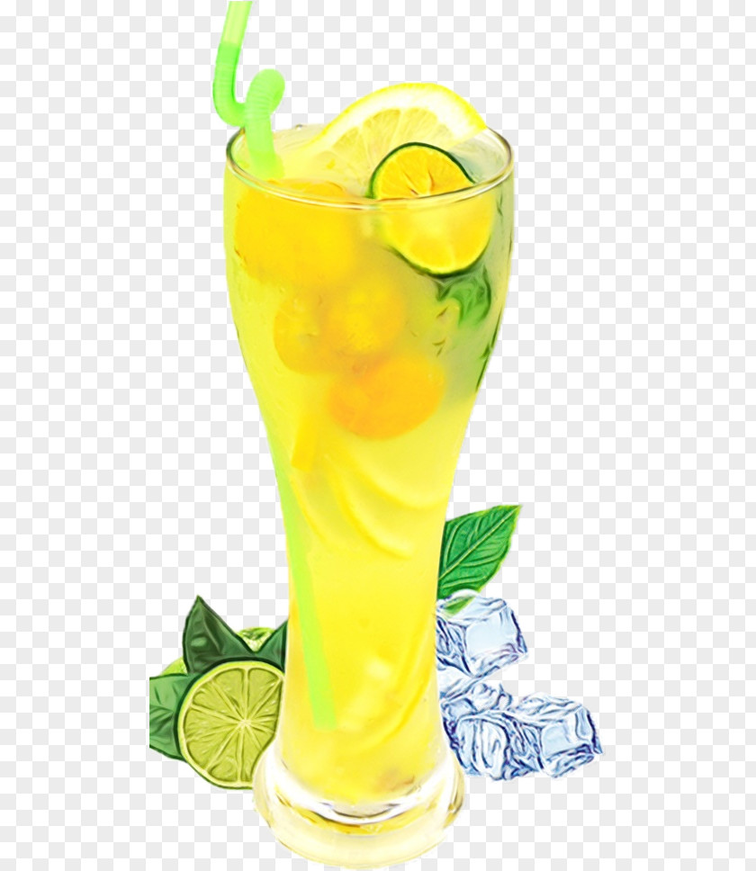 Mojito PNG