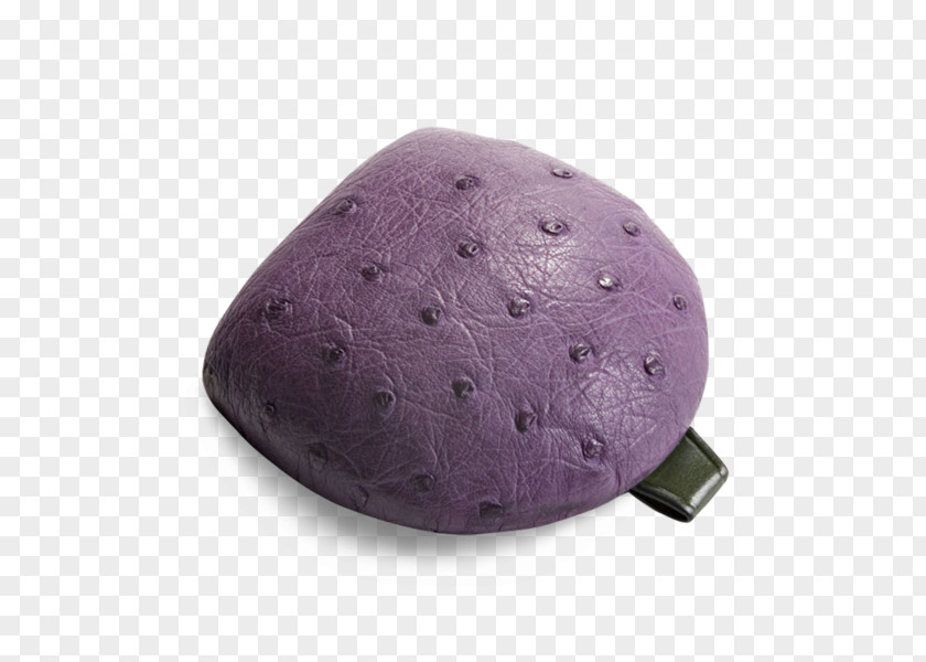 Ostrich Common Leather Headgear Coin Violet PNG