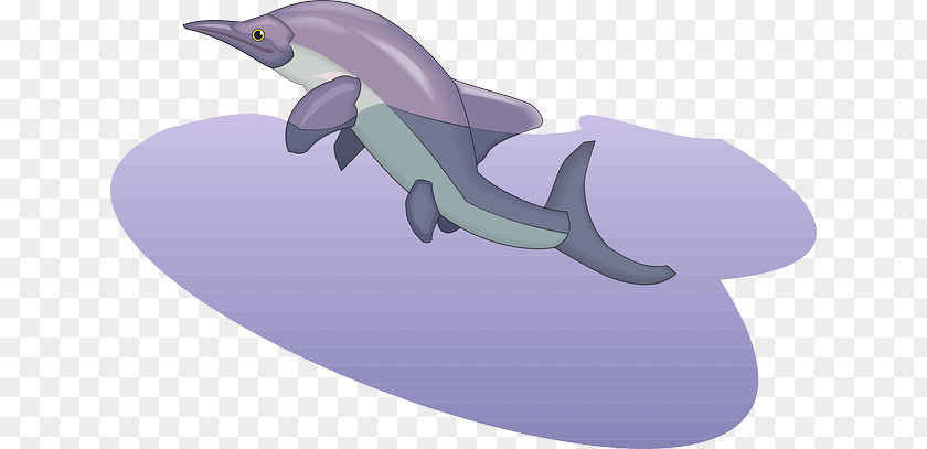 Purple Common Bottlenose Dolphin Clip Art PNG