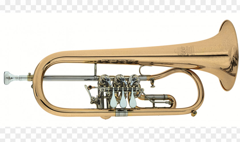 Trumpet Cornet Flugelhorn Saxhorn Mellophone PNG