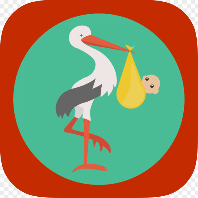 Turkey Bird Infant Childbirth Prenatal Care Pregnancy PNG