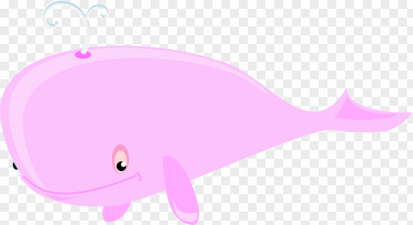 Pink Whale Marine Mammal Cartoon Illustration PNG
