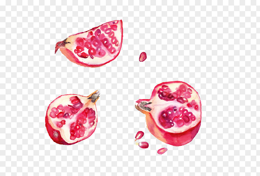 Pomegranate Strawberry Fruit Watercolor Painting PNG