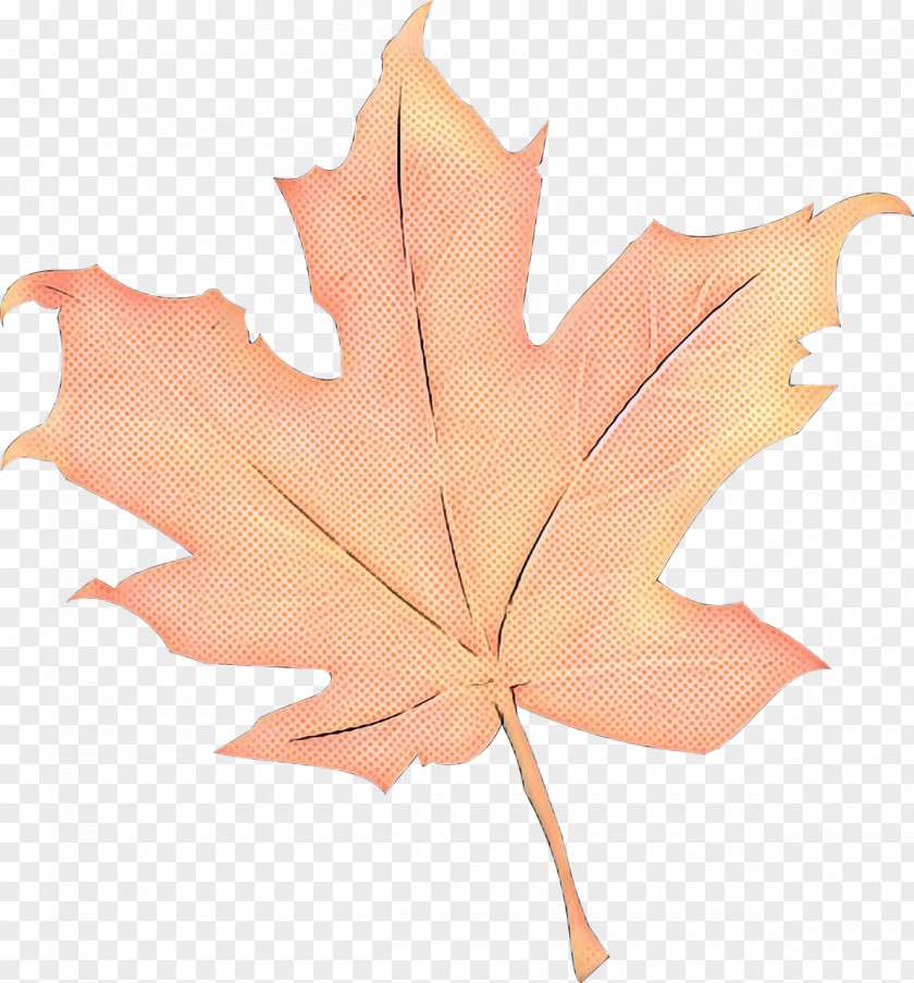 Silver Maple Flower Canada Leaf PNG