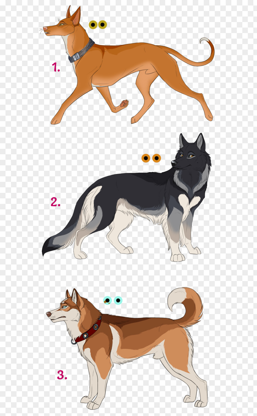 City Characters Dog Breed Cat Clip Art PNG