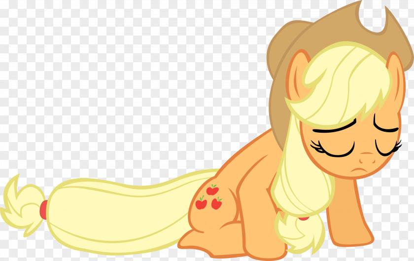 Fan Applejack Fluttershy Pinkie Pie Twilight Sparkle Art PNG