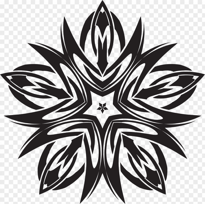Flower Ornament Celtic Knot Graphic Design PNG