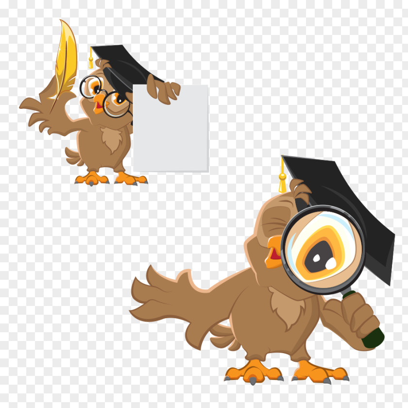 Owl Clip 3 Diploma Illustration PNG