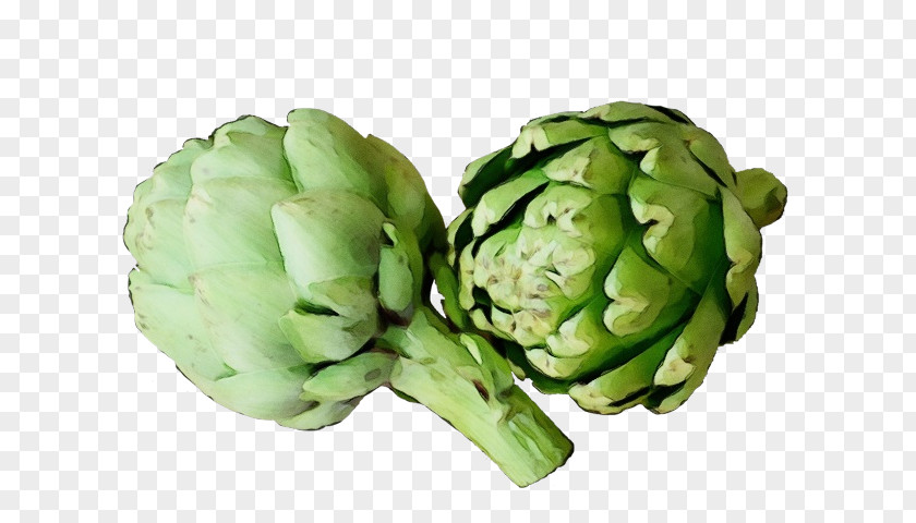 Sugarapple Cruciferous Vegetables Artichoke Plant Vegetable Food Cynara PNG