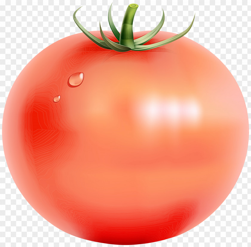 Vegetarian Food Cherry Tomatoes Tomato Cartoon PNG