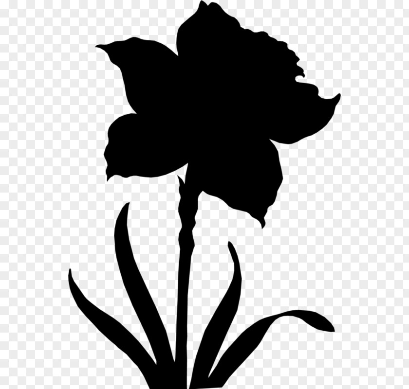 Clip Art Leaf Silhouette Plant Stem Flowering PNG