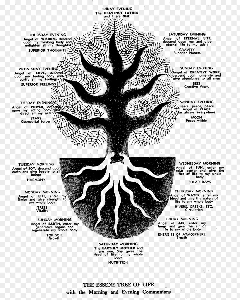 Essenes Tree Of Life Qumran From Enoch To The Dead Sea Scrolls Kabbalah PNG