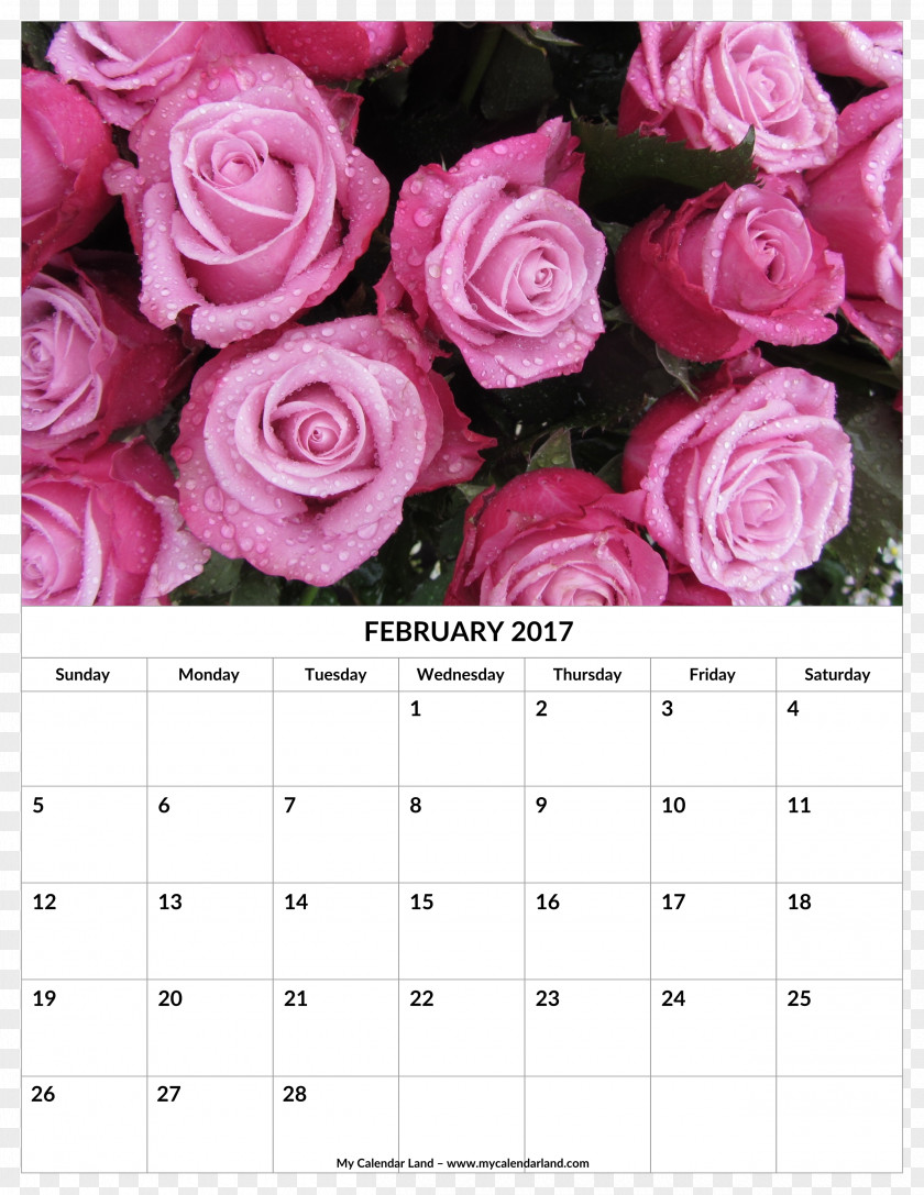 Flower Garden Roses Desktop Wallpaper Metaphor PNG
