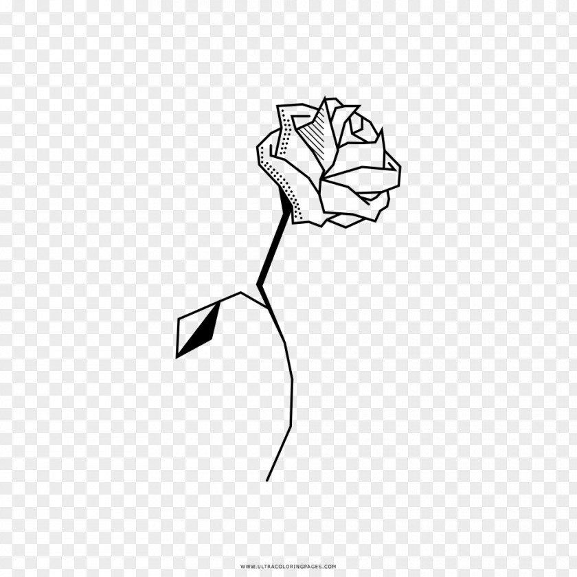 Rose Coloring Book Drawing Black And White Line Art PNG