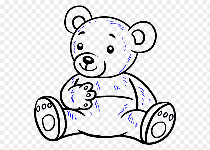 Bear Grizzly Drawing Cartoon PNG