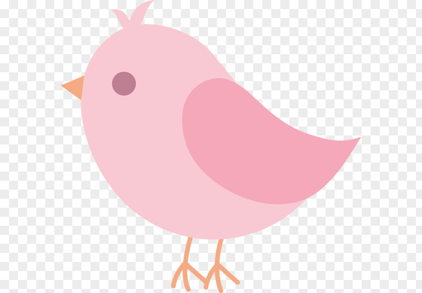 Bird Clip Art PNG