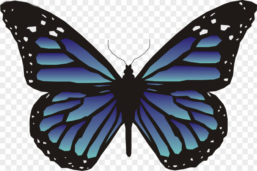 Blue Butterfly Animation Clip Art PNG