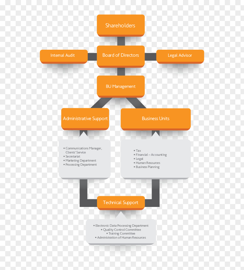 Business Organizational Chart Structure Management PNG