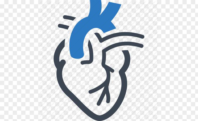 Drawing Vector Cardiology Heart Cardiovascular Disease PNG