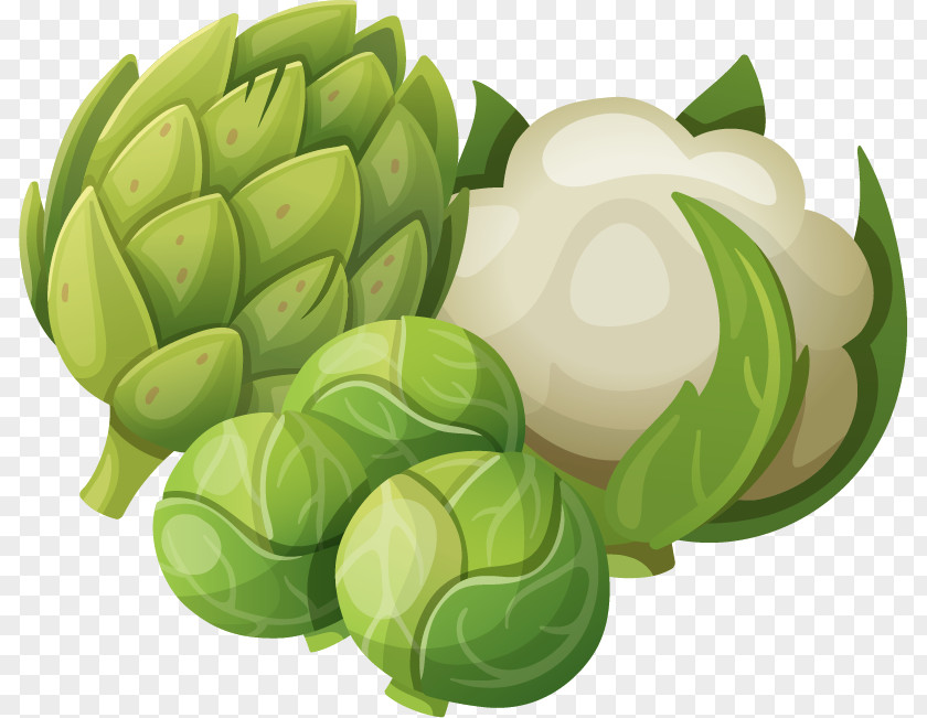 Turnips Cauliflower Vector Material Download Vegetable PNG