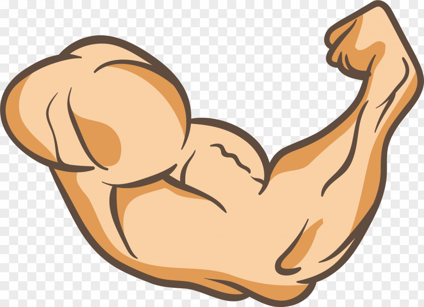 A Powerful Arm Arms Thumb Muscle Clip Art PNG
