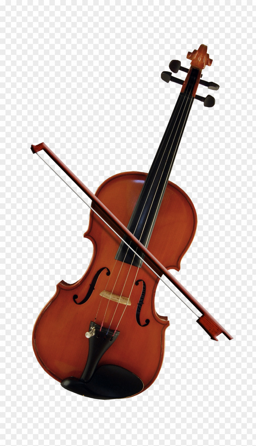 Beautiful Violin Bass Cello Violone Viola PNG