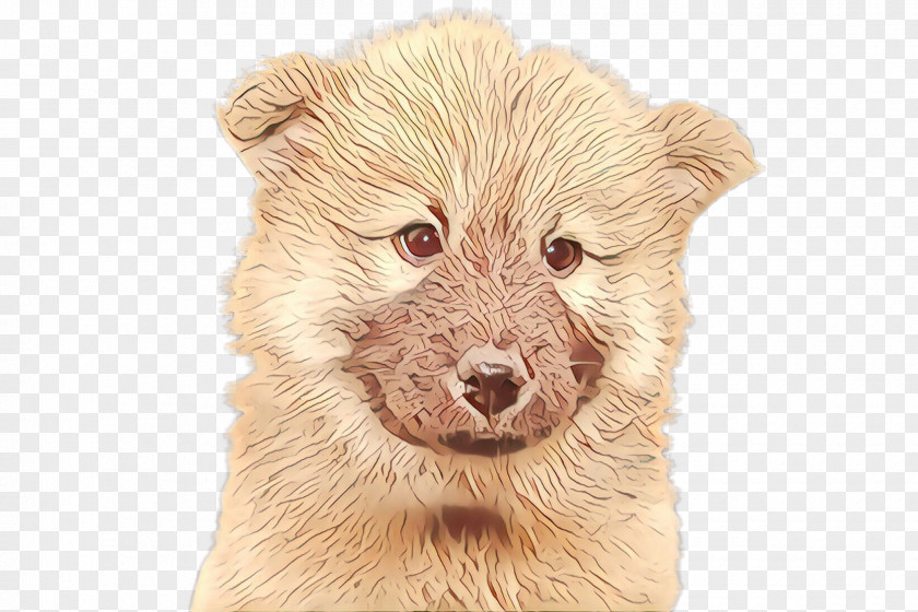 Dog Snout Puppy Beige Drawing PNG