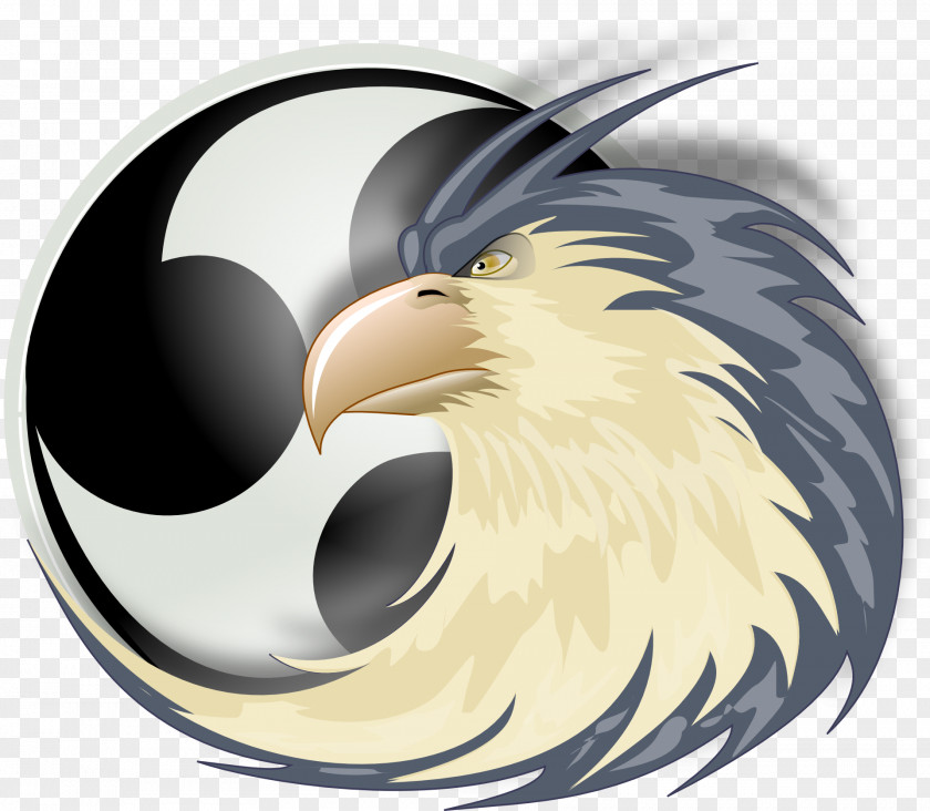 Eagle Bird Android PNG