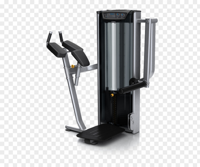 Exercise Machine Gluteal Muscles Fitness Centre Of The Hip PNG