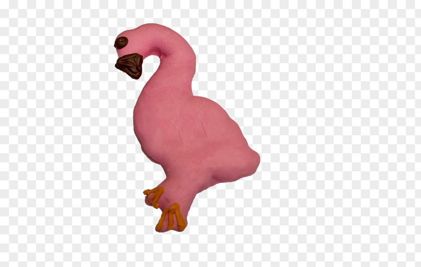 Flamingo Water Bird Chicken Galliformes Goose PNG