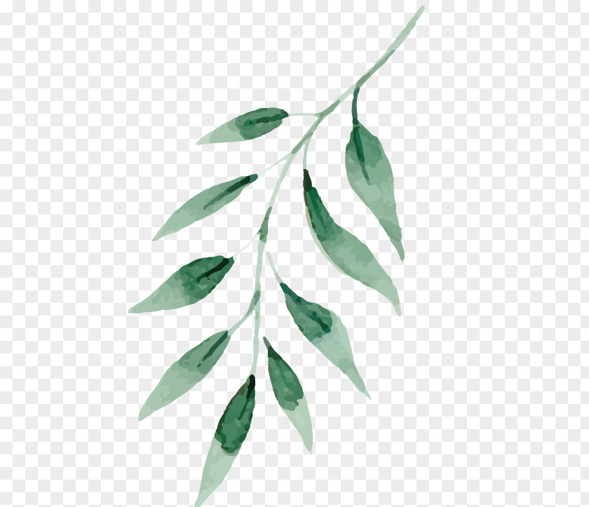 Leaf Watercolor Painting Drawing Art PNG