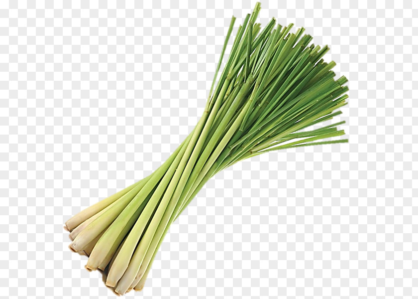 Oil Cymbopogon Citratus Asian Cuisine Thai Flavor PNG