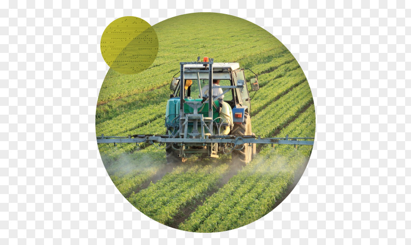 Agriculture Industry Herbicide Pesticide Crop PNG