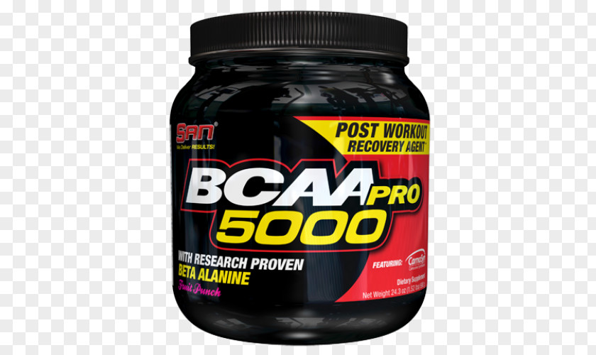 Bcaa Creatine Bodybuilding Supplement Price Glutamine Nutrition PNG