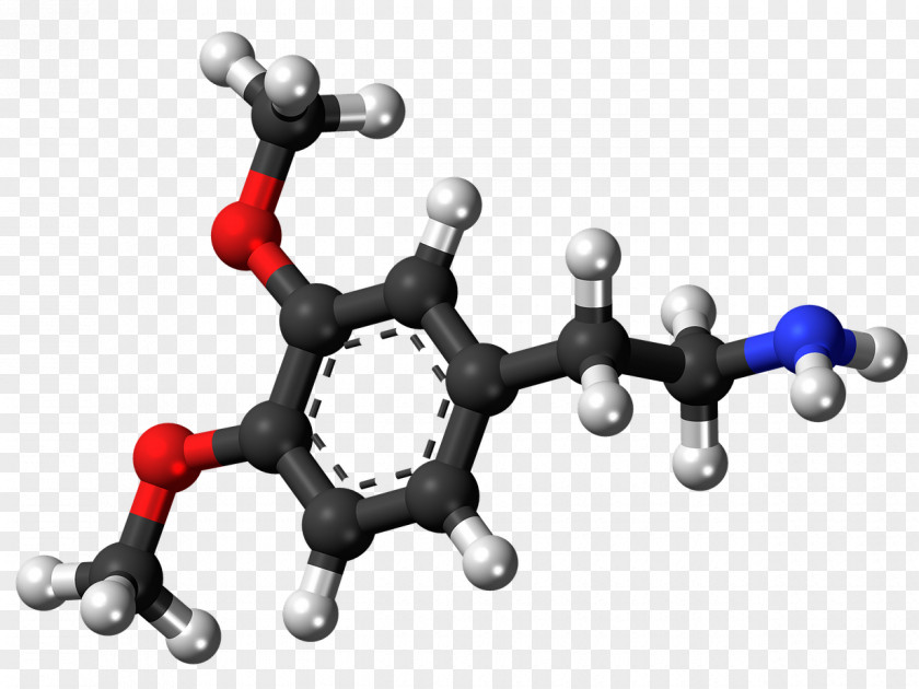 Brain Dopamine Receptor Neurotransmitter Norepinephrine Oxidopamine PNG