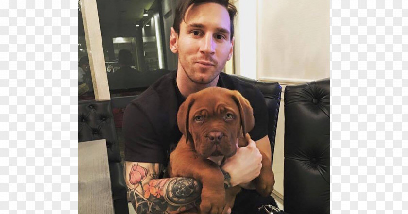 Lionel Messi FC Barcelona Argentina National Football Team Dogue De Bordeaux Player PNG
