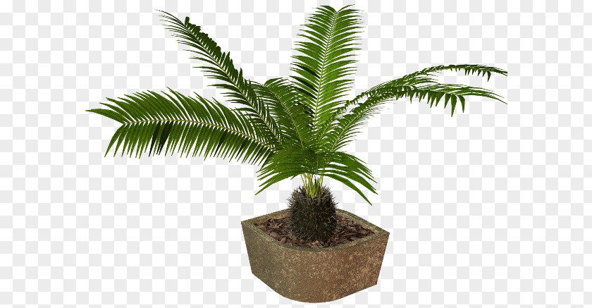 Plant Flowerpot Houseplant Вазон PNG