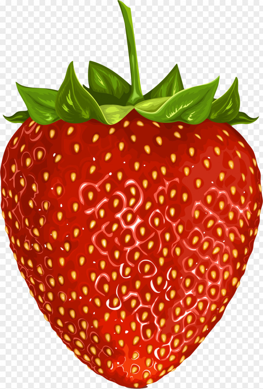 Strawberry Musk Wine Fruit Clip Art PNG