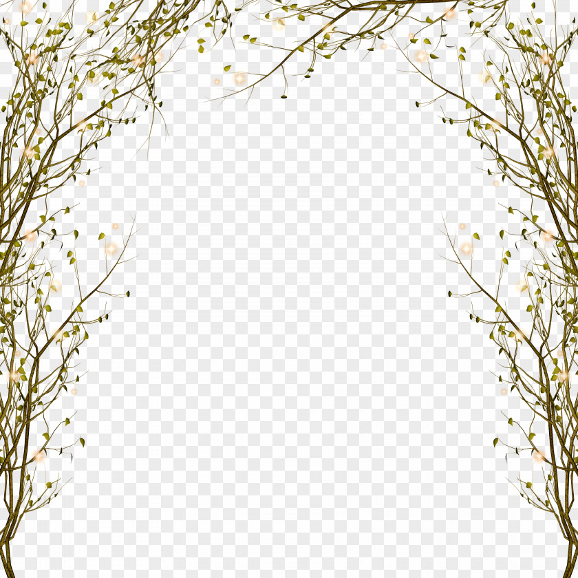 Branch Decorative Border Pattern Tree Clip Art PNG